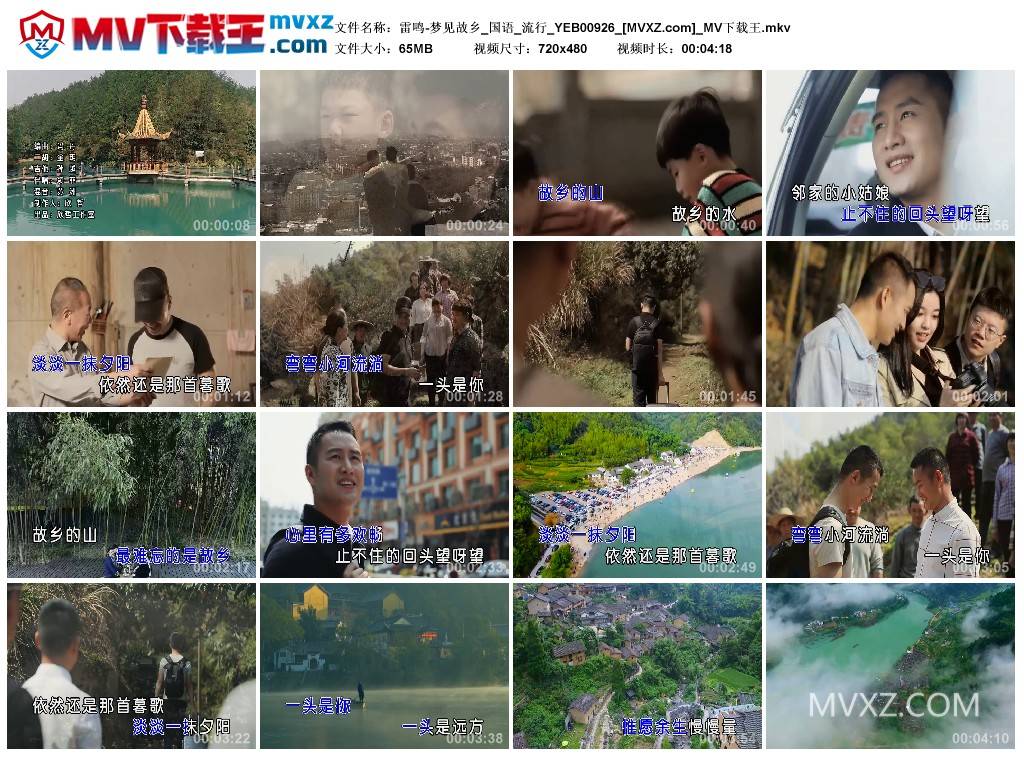 雷鸣-梦见故乡_国语_流行_YEB00926